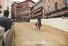 Palio Straordinario: la fotogallery delle Prove di Addestramento Mattutine